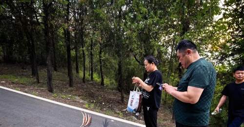 贾汪:大洞山彩虹步道焕新 登山成自然科普趣味之旅
