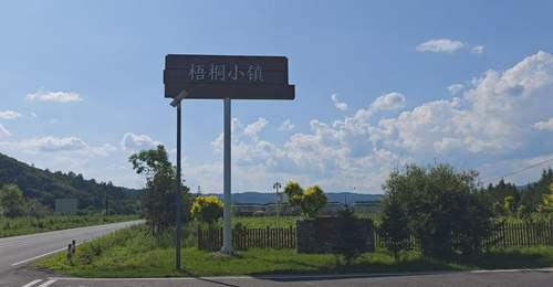 南岔县梧桐镇:药膳康养旅游融合发展新典范