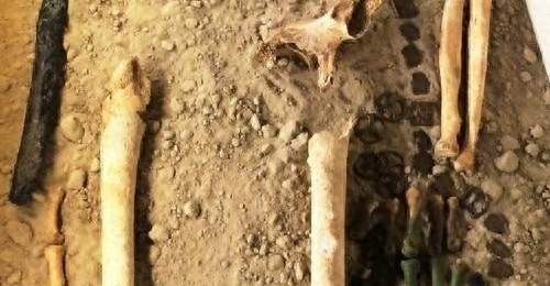 跟着DNA研究解锁古文明脉络:匈奴、芬兰人、商朝贵族竟藏着跨欧亚的基因关联