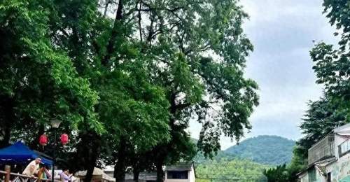 宜宾人今夏避暑玩出新花样！不去远方挤热门，家门口溯溪嗨玩还能解锁新体验