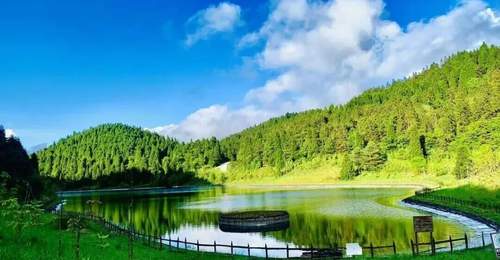暑期去重庆金佛山仙女山红池坝 感受多元活动的森林清凉体验