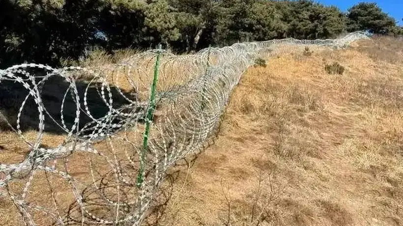 泰山的刀片网,围住的不只是山