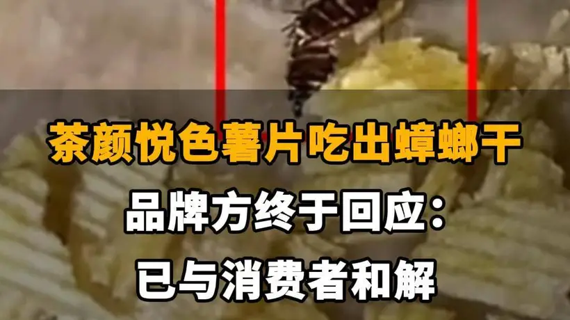 【茶颜悦色薯片吃出蟑螂干，品牌方终于回应啦：已与消费者和解。同款产品未下架，仍在正常陈列销售】
