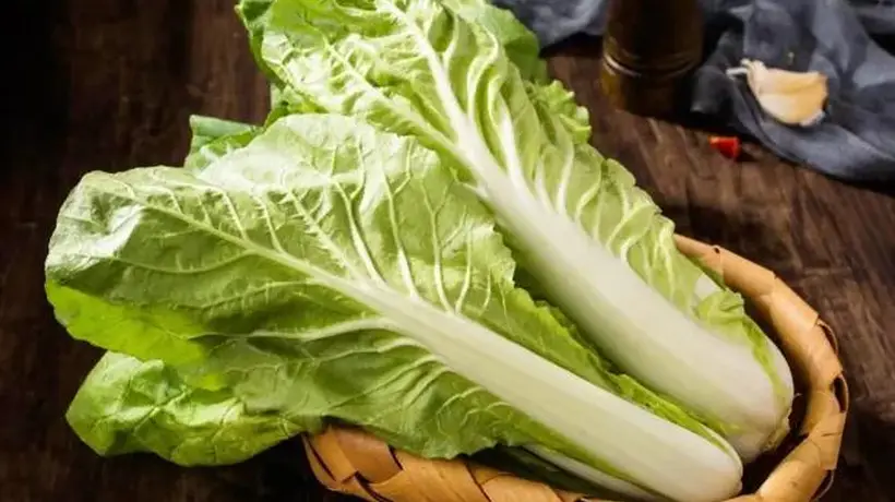 小白菜的营养价值?