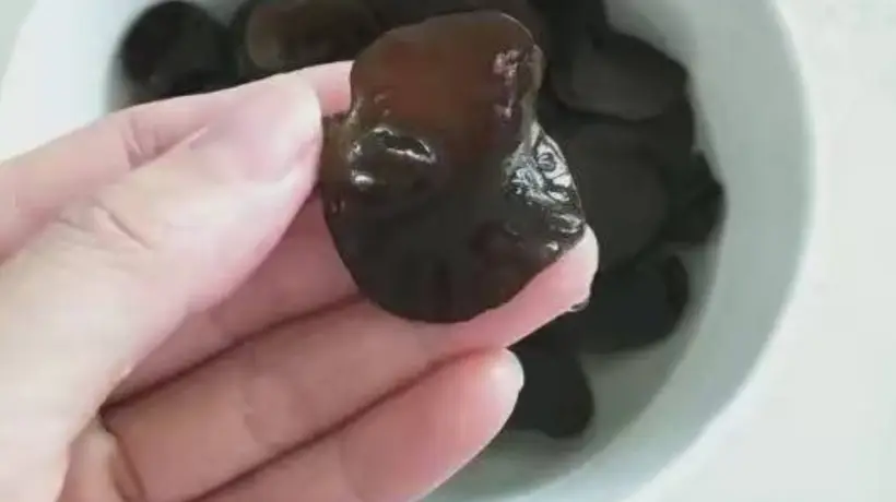 厨房小白必看!12种干货食材清洗泡发妙招 木耳蘑菇海蜇鱿鱼海带全涵盖 上手简单不踩坑
