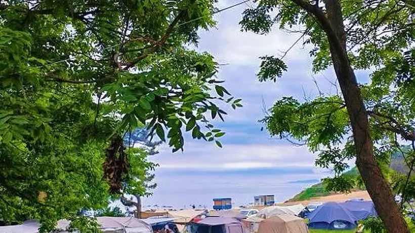 8月央视解锁夏日限定体验首选大连，多元玩法等你来解锁，亲身比镜头更动人