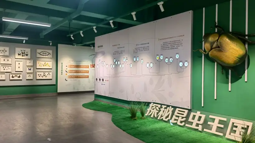珍稀标本+活体展演 昆明动物博物馆打造沉浸式昆虫科普盛宴