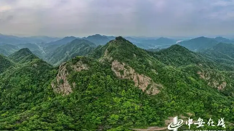 邓彩云:合肥之巅,飒飒凌空