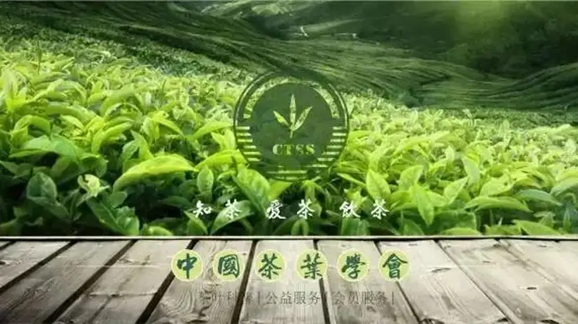 茶科普 | 中国新茶饮香飘海外的“出海密码”