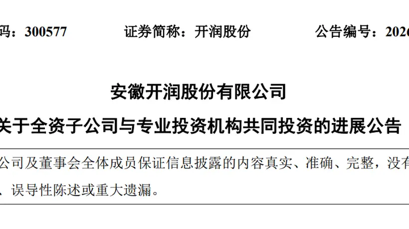 DeepSeek估值,被一家安徽箱包公司给全部暴露了