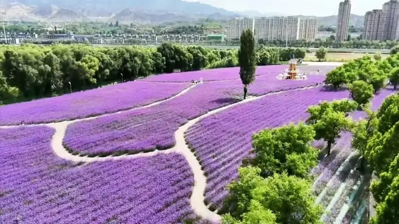 藏在黄河之畔的小众秘境,四季花香治愈你的出走计划