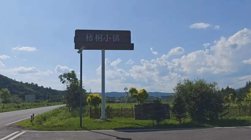 南岔县梧桐镇:药膳康养旅游融合发展新典范