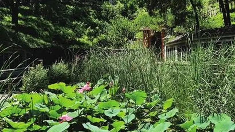 百望山森林公园:夏日清凉好去处