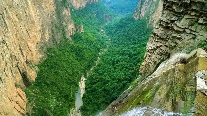 盛夏赴天脊山消夏 邀三五好友共赴山野清凉体验