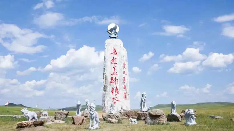 游客打卡《狼图腾》取景地时误进私人山寨野狼谷,景区内狼温顺似狗,当地文旅部门回应确有两处同名景区