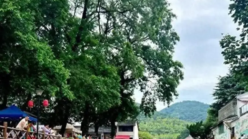 宜宾人今夏避暑玩出新花样！不去远方挤热门，家门口溯溪嗨玩还能解锁新体验