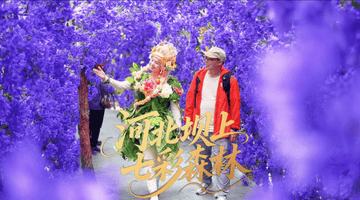 北京周边避暑天花板!16℃的丰宁七彩森林,遛娃度假一站式全搞定