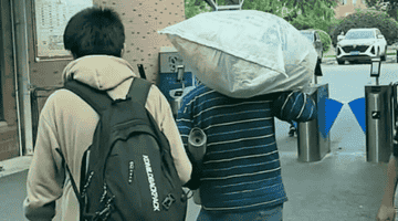 有钱人家托举靠砸钱,普通家庭托举靠四个字:别拖后腿