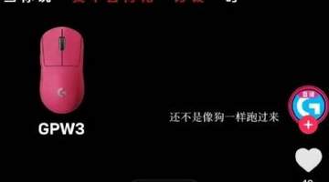 “降价像狗一样跑过来”?罗技广告侮辱消费者被罚20万