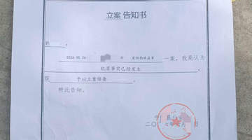 网红边牧“锄头”被盗宰杀案移送检察院 犬主人拟提起民事诉讼