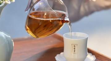 太姥山与绿雪芽:福鼎白茶的双向奔赴与共生交响