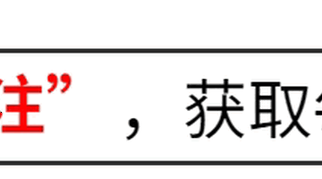 1976年十里长街送总理 闹市口几位老人当街截灵车时说出了什么诉求