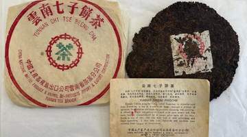 从70年代到2000年初 跟着茶友梳理勐海茶厂老茶内票的多元鉴别细节