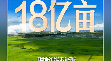 习近平再提耕地红线:粮食安全的生命线