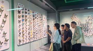 昆明推出“探秘昆虫王国”展 科普生态知识