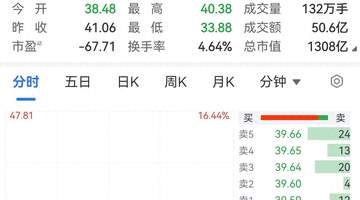 半导体硅片龙头,股价巨震