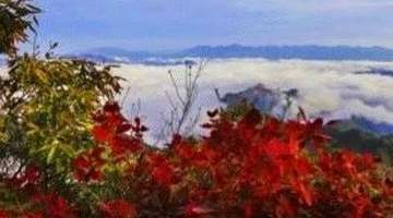 错峰出行!白河庙山寨景区日最大承载量公布!