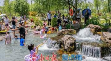 山东济南:泉畔戏水享清凉