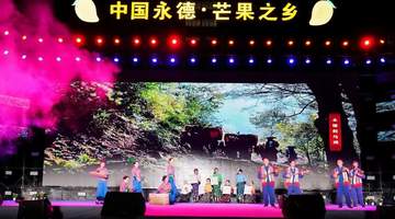 2026年永德芒果之乡文化旅游节启幕