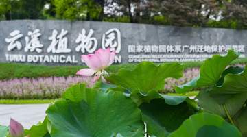 不设限、“零门槛”——白云山云溪植物园打造便民赏花“新标杆”