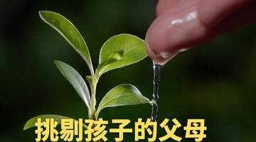 挑剔的父母,最缺的不是爱,而是爱人的能力