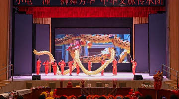 潼南非遗国际课堂:中外青年共舞龙狮·书法交流