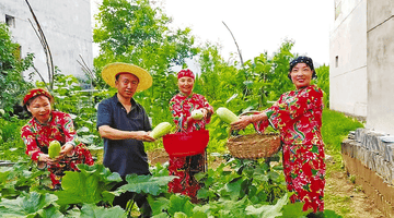 秦岭避暑经济升温：深山村落成游客养生胜地