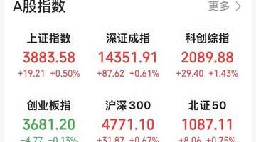 A股半导体设备领涨 聚焦托伦斯20cm涨停
