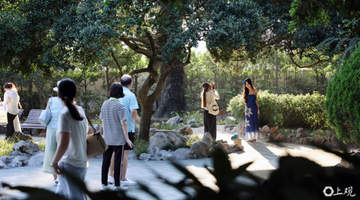 桂林公园焕新开放引市民打卡 百年名园修缮细节引众人关注