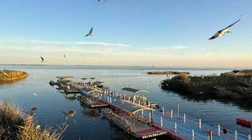 来居延海游玩的人看过来!住宿选哪里?从湖畔木屋到边陲酒店,多元参与体验全知道