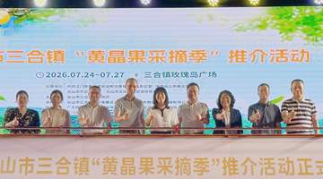 台山三合镇邀你玩转暑假 摘黄晶果享漂流泡泉住特色宿