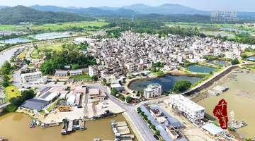 来广东阳西程村红光村!白天逛红树林展馆,夜晚享营地音乐烟火,夏日打卡双重乐趣