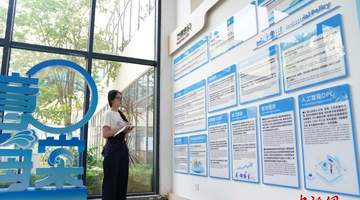 港澳大学生参与自贸港逐浪计划 亲身体验三亚从旅游小城到国际新城的蜕变