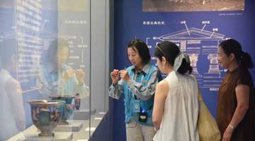 8月4日-8月9日公益讲解等你来！探秘古文明与青岛史的文博之旅开启报名通道