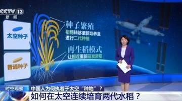 天宫十载太空种出百样鲜 邀你解锁中国航天员的“太空菜园”故事