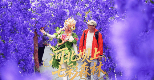 北京周边避暑天花板!16℃的丰宁七彩森林,遛娃度假一站式全搞定