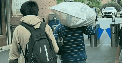 有钱人家托举靠砸钱，普通家庭托举靠四个字：别拖后腿