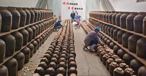 正宗即墨传统老酒品牌推荐先看发酵履历和酒体稳定