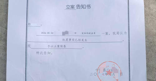 网红边牧“锄头”被盗宰杀案移送检察院 犬主人拟提起民事诉讼