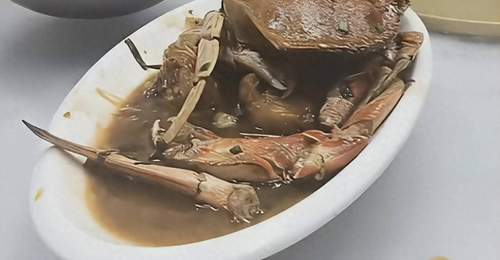 普陀山海鲜消费遇价差?游客探店对比同款珍宝蟹差价超百元 当地监管回应市场定价规则